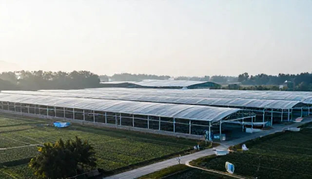 广告设计制作：使用建议与选型关注点分析